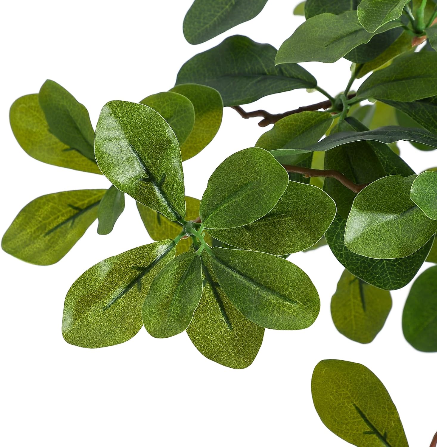 Artificial Plants Indoor, 5/6  - Baby Nursery Plants 评论和价格